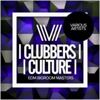 Clubbers Culture: Edm Bigroom Masters