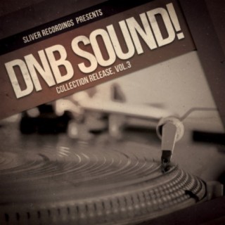 Dnb Sound!: Collection, Vol.3