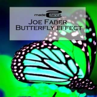 Butterfly Effect