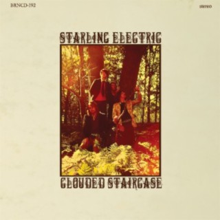 Starling Electric