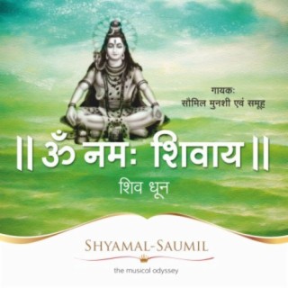 Om Namah Shivay