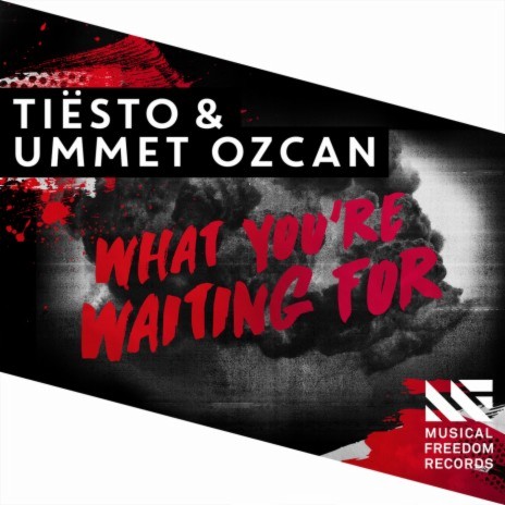 What You're Waiting For ft. Ummet Ozcan | Boomplay Music