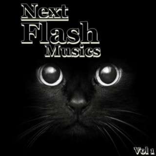 Next Flash Musics, Vol. 1