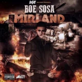 Boe sosa