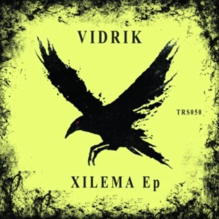 Vidrik