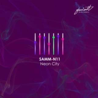 samm-n11