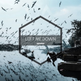 Left Me Down