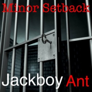 Jackboy Ant