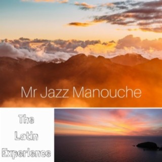 Mr Jazz Manouche