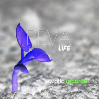 REVA