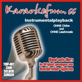 Hand aufs Herz - Instrumental - Karaoke