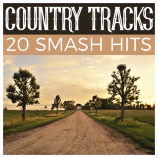 Country Tracks - 20 Smash Hits