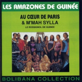 Les Amazones de Guinée