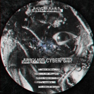 Junkyard Cyberpunk