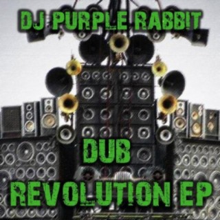 DJ Purple Rabbit