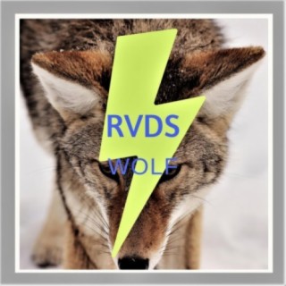 RVDS