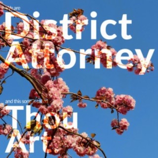 District Attorney