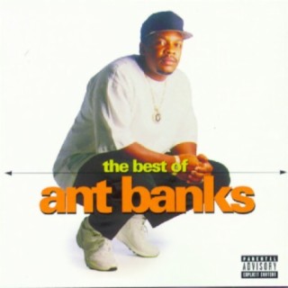 Ant Banks