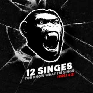 12 Singes