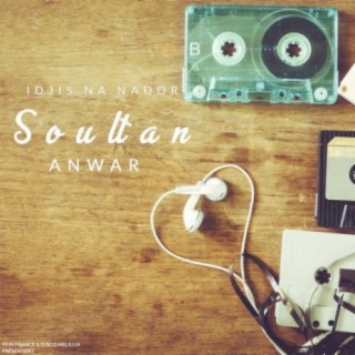 Anwar Soultan