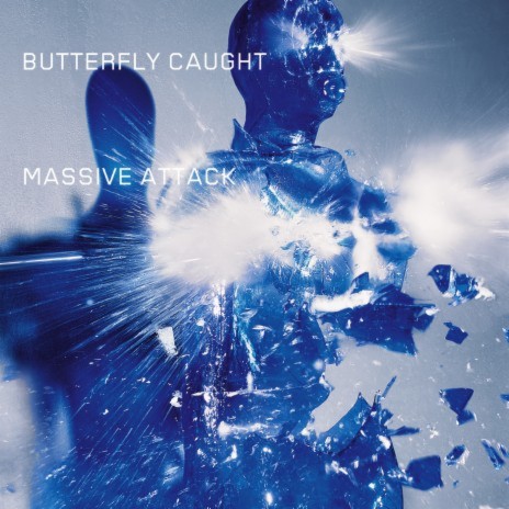 Butterfly Caught (Radio Edit) | Boomplay Music