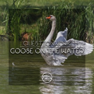 Goose On The Water