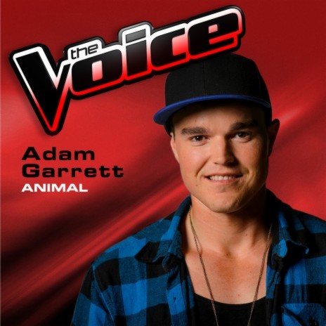 Animal (The Voice 2013 Performance) | Boomplay Music