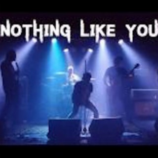 Nothing Like You