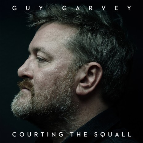 Courting The Squall | Boomplay Music