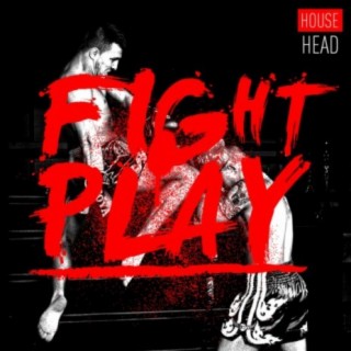 Fightplay