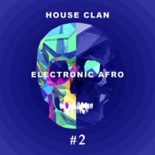 Electronic Afro # 2