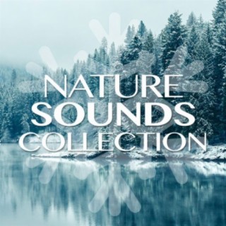 Nature Sound Collection