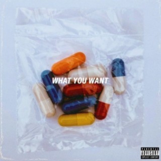 What You Want