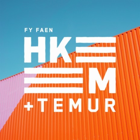 Fy Faen ft. Temur | Boomplay Music