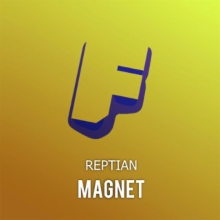 Magnet