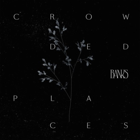 Crowded Places | Boomplay Music