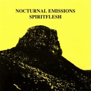 Nocturnal Emissions