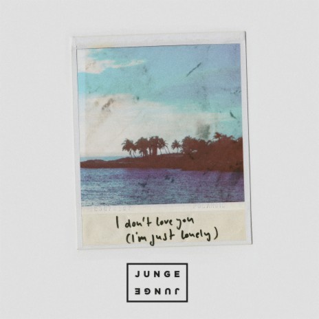 I Don't Love You (I'm Just Lonely) | Boomplay Music