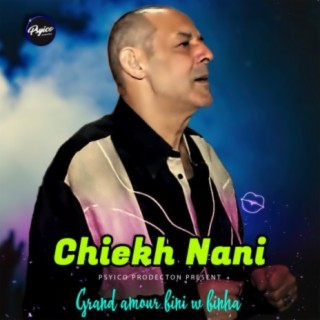 Chiekh Nani