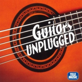 Guitars Unplugged