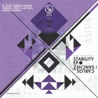 Stability / Remixes