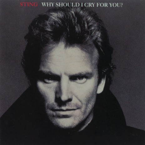 Why Should I Cry For You? (Extended Mix) | Boomplay Music