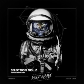 Deep Insane Records - Selection, Vol. 2