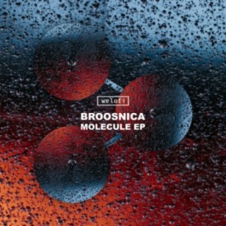 Broosnica