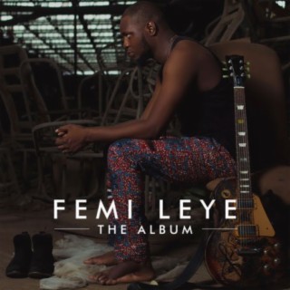 Femi Leye (The Album)