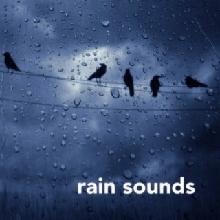 Rain Sounds