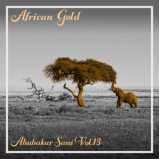African Gold - Abubakar Sani Vol, 13