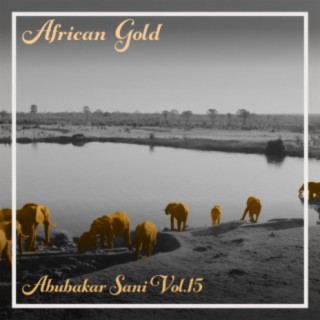 African Gold - Abubakar Sani Vol, 15