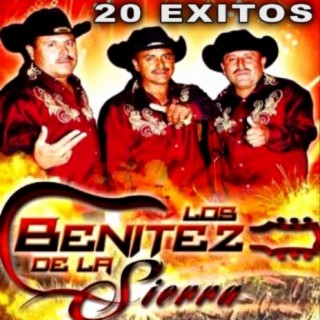 20 Exitos