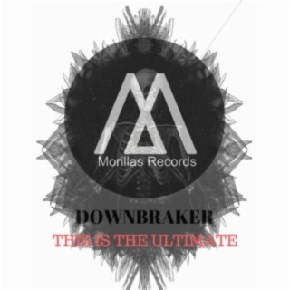 Downbraker